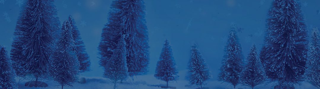 WestJet brings dreams of the holiday season to life